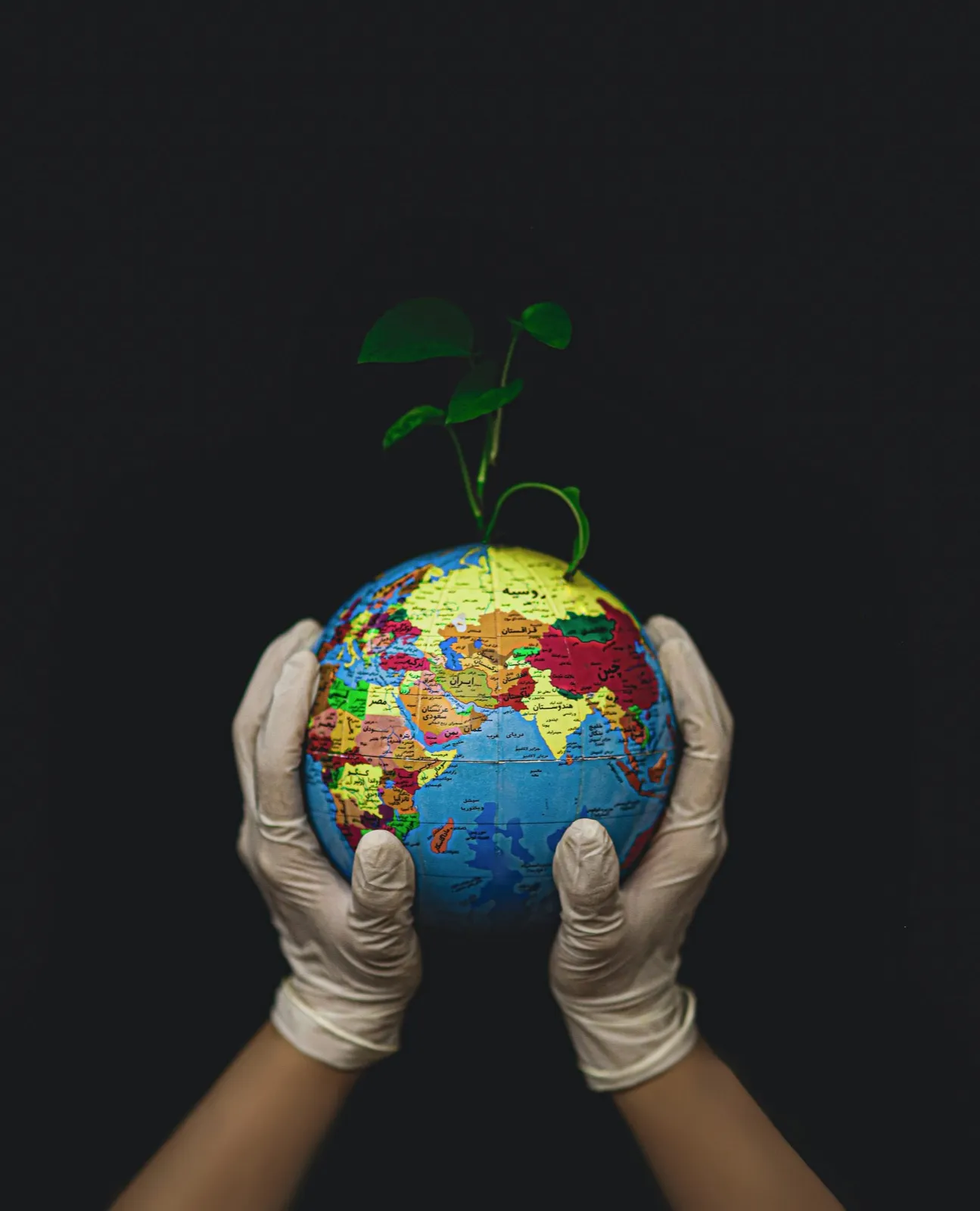 Deux mains gantées tenant un globe terrestre d'où pousse une jeune plante verte.